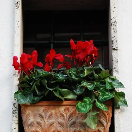 Le Stanze Dei Nonni Avellino