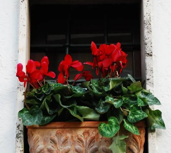 Le Stanze Dei Nonni Avellino
